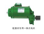 起重機專(zhuān)用一體式電機1