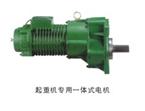 起重機專(zhuān)用一體式電機2