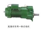 起重機專(zhuān)用一體式電機3